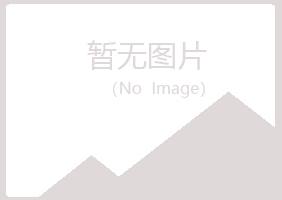 鹤岗兴山蓝天金属有限公司